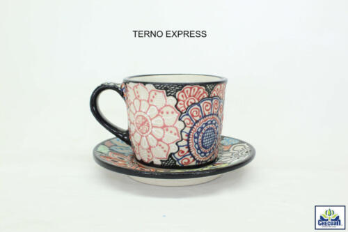 TERNO-EXPRESS